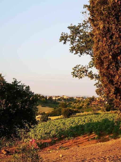 Casa In Campagna La Roverella Francavilla dʼEte Buitenkant foto