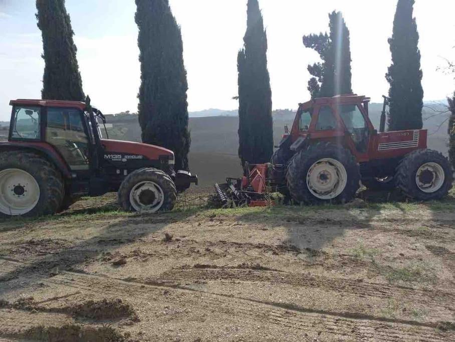 Casa In Campagna La Roverella Francavilla dʼEte Buitenkant foto