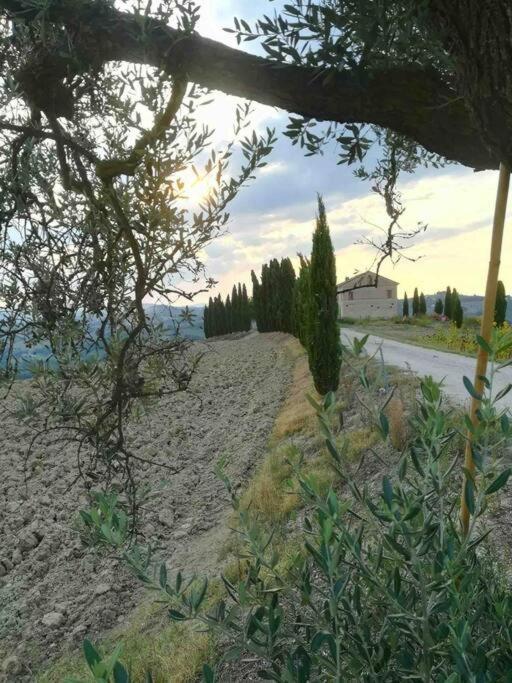 Casa In Campagna La Roverella Francavilla dʼEte Buitenkant foto