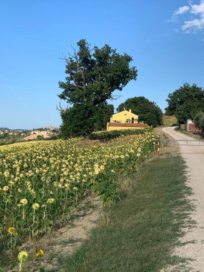 Casa In Campagna La Roverella Francavilla dʼEte Buitenkant foto